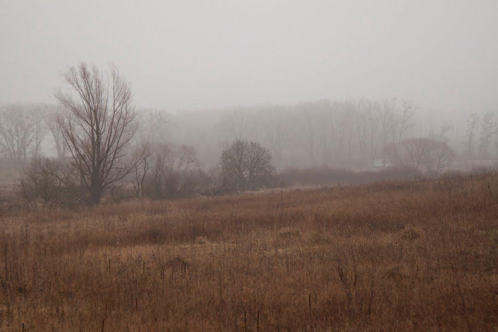 Ясногородка з panoramio.com - Ясногородка