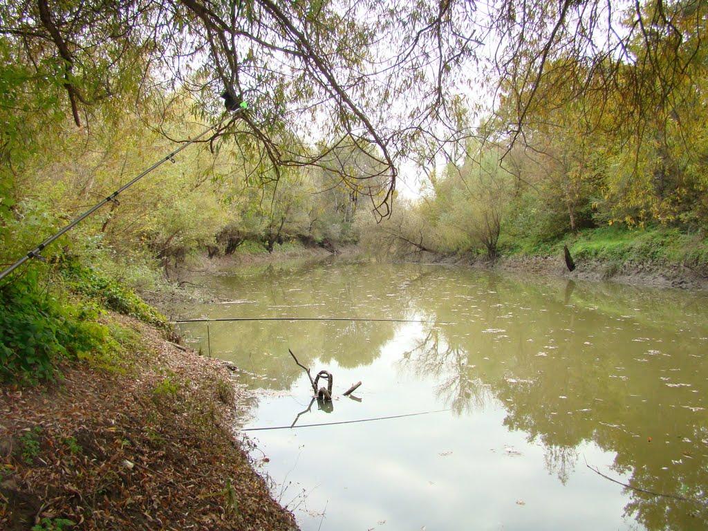 Соломоново з panoramio.com (ч.2) - Соломоново