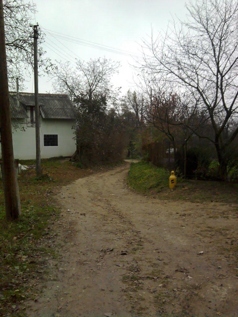 Винники з panoramio.com - Vynnyky