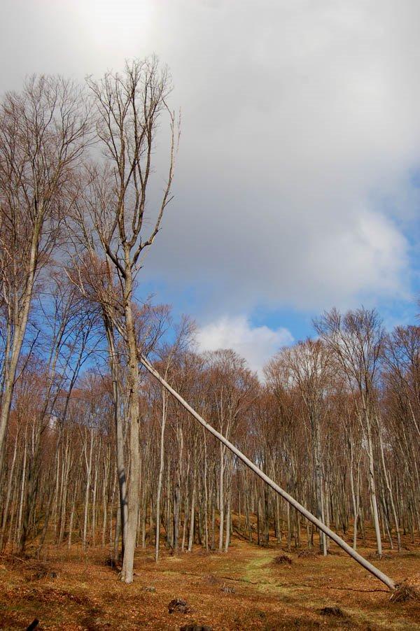 Зелена Гута з panoramio.com - Zelena Guta