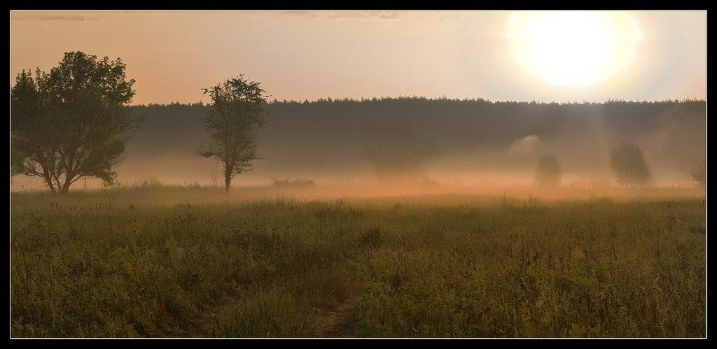 Суха Гомільша з panoramio.com - Суха Гомільша