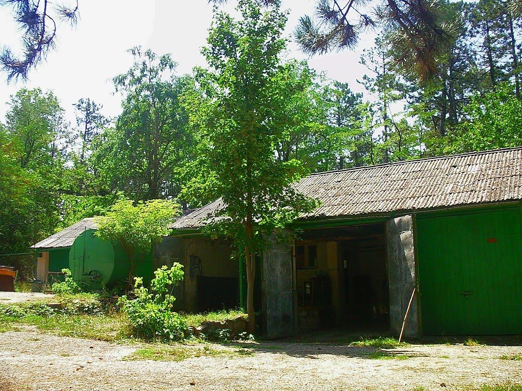 Научний з panoramio.com - Научний