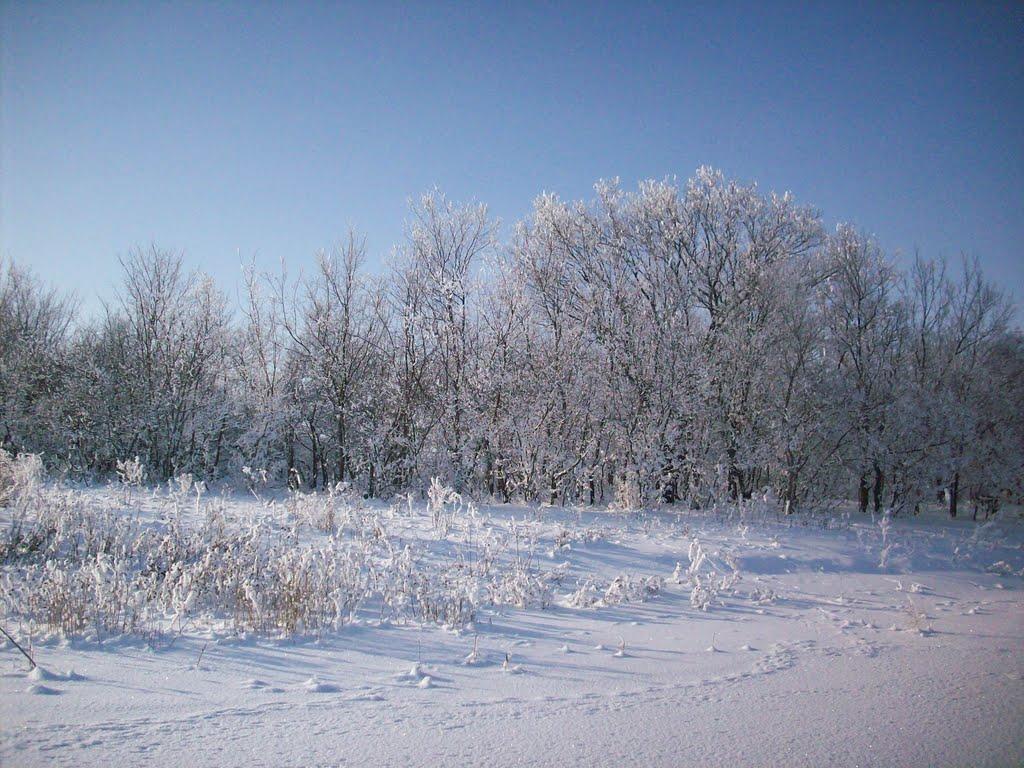 Виноградне з panoramio.com - Виноградне