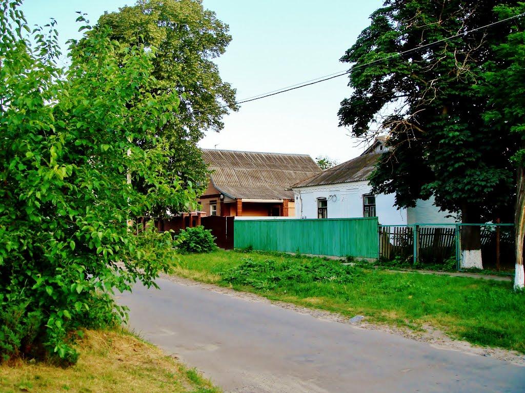 Гудзівка з panoramio.com - Gudzivka