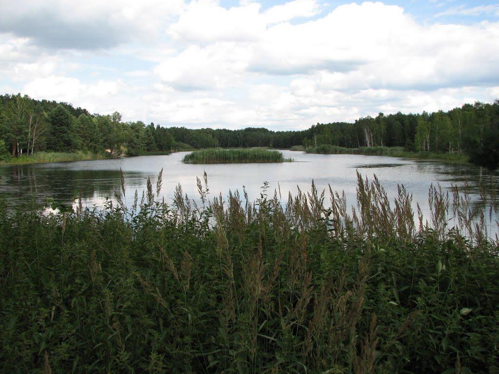 Стригани з panoramio.com - Стригани