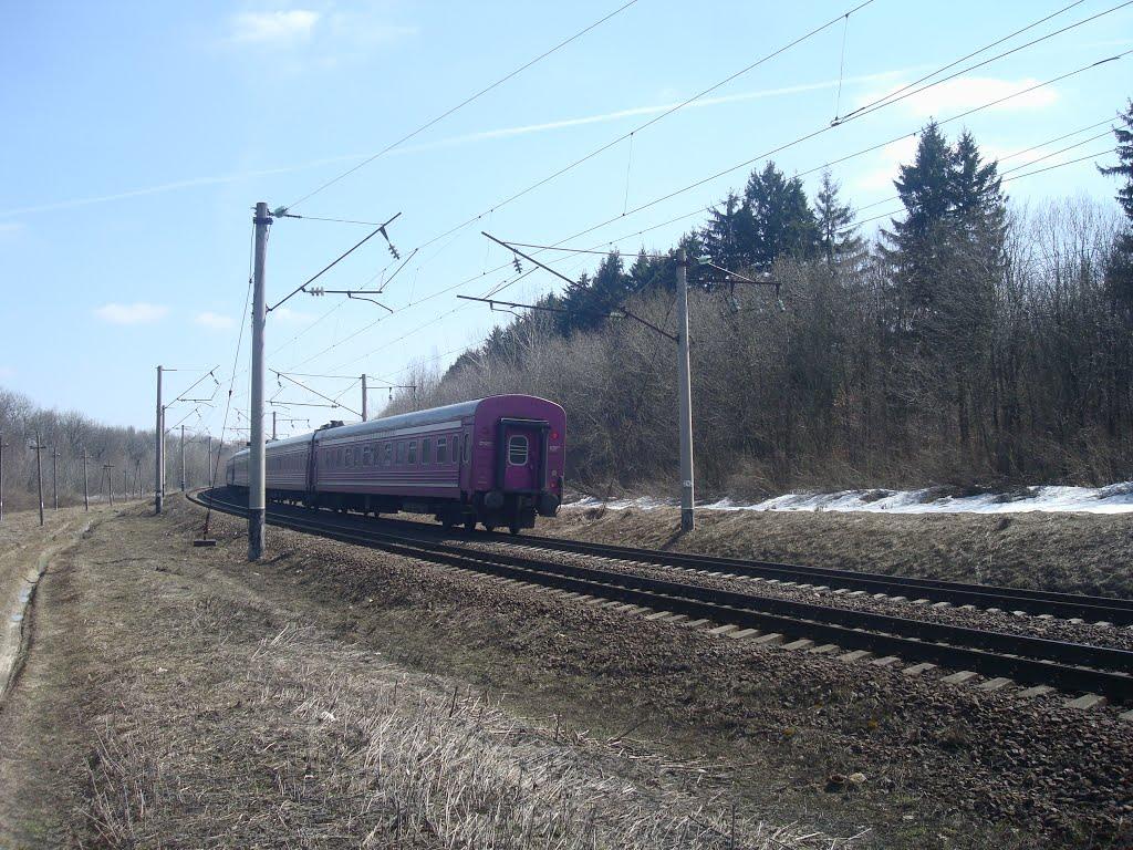 Коричинці з panoramio.com - Коричинці