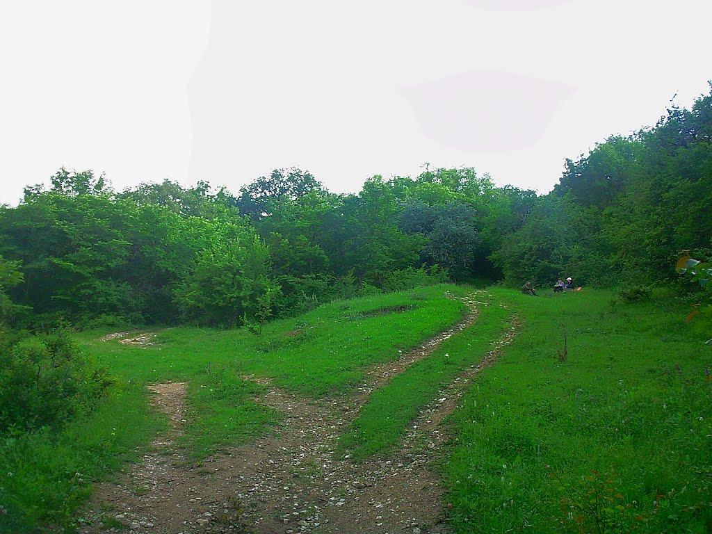 Краснолісся з panoramio.com - Краснолесье