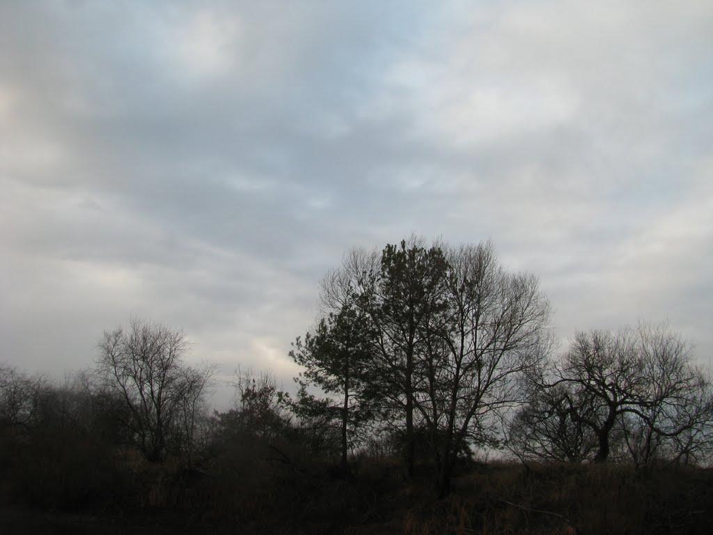 Миси з panoramio.com - Мысы