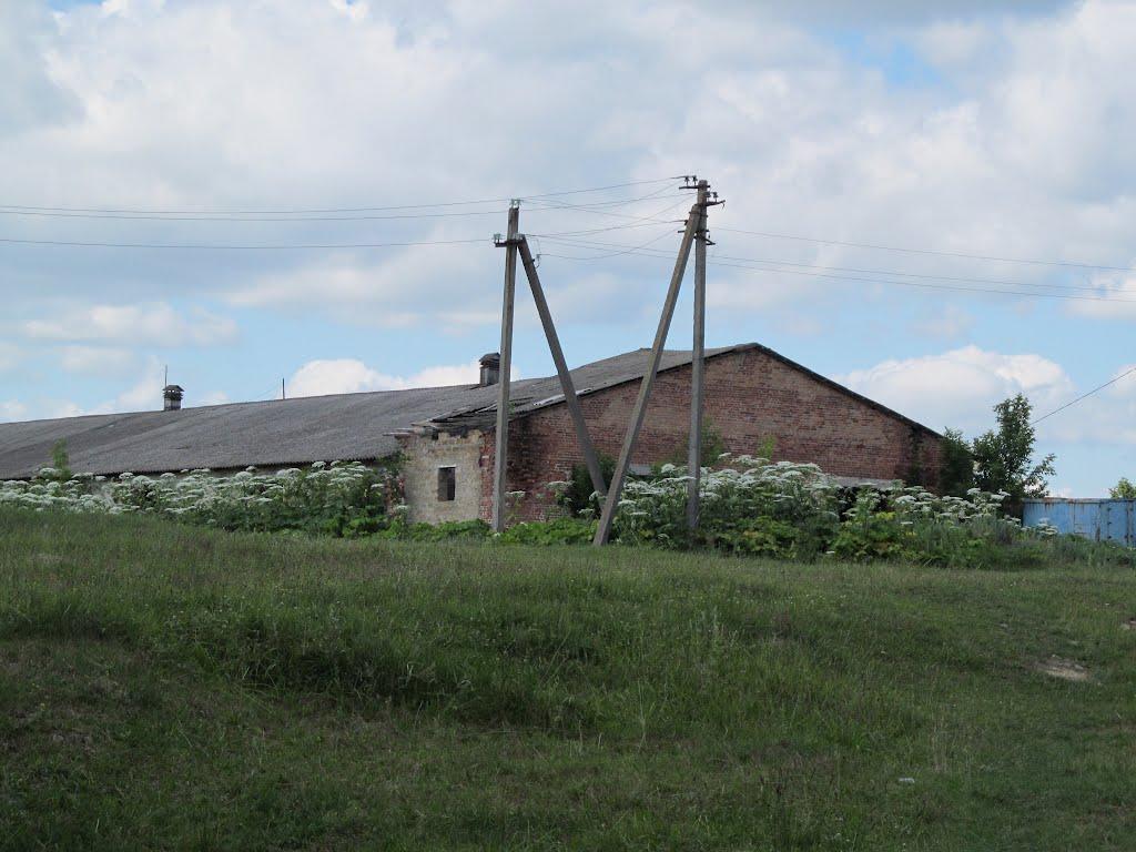 Березівка з panoramio.com - Березівка