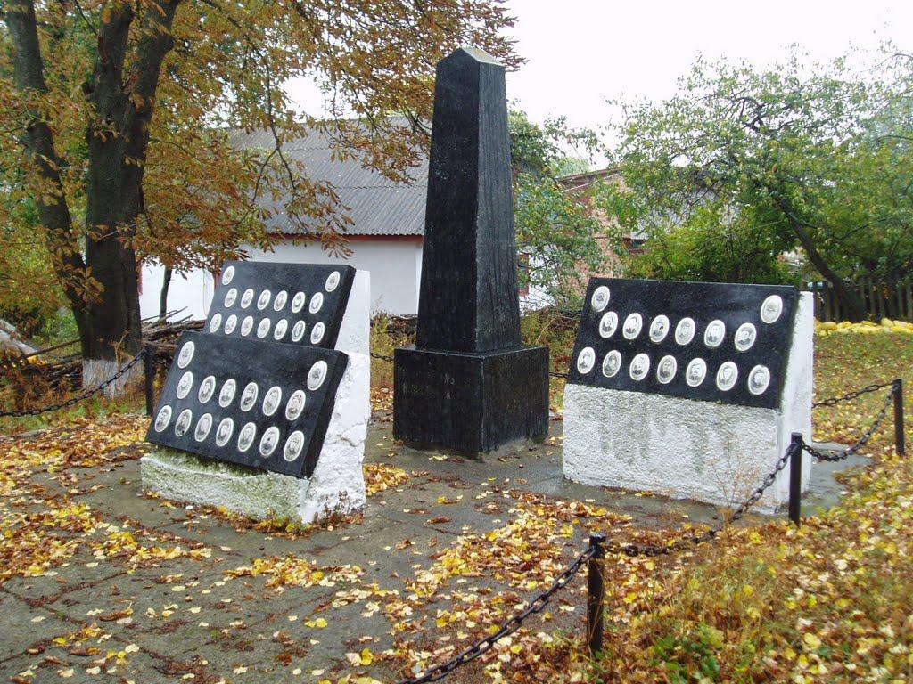 Карпівці з panoramio.com - Карпівці