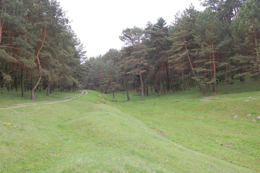 Вербень з panoramio.com - Вербень