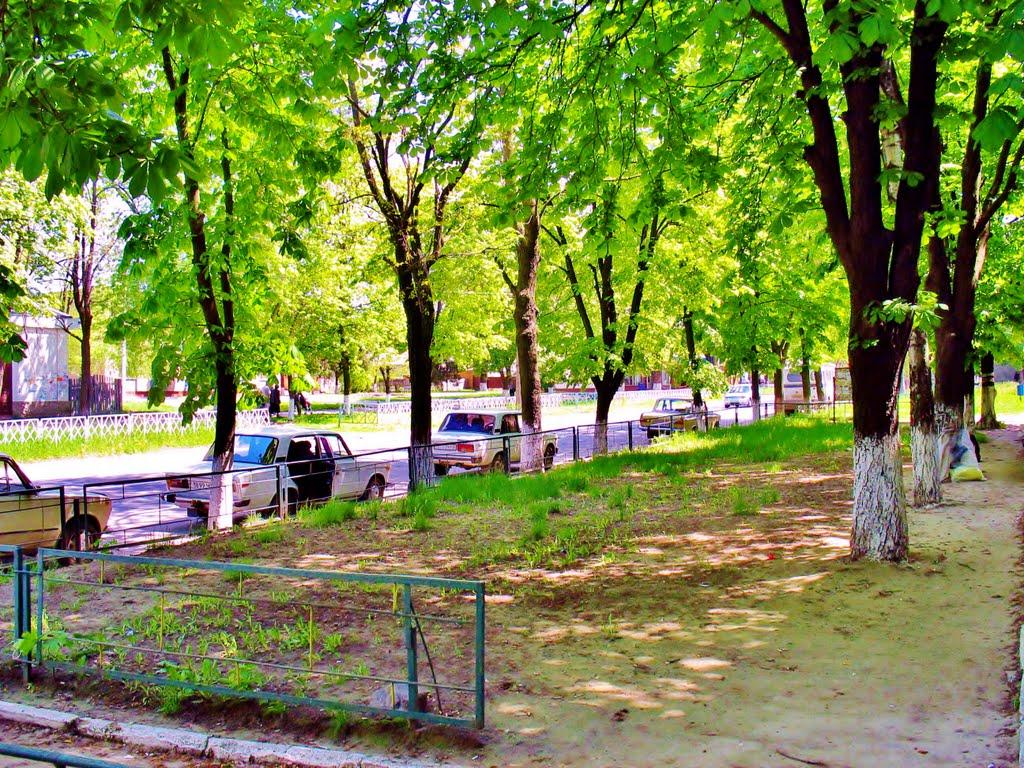 Гудзівка з panoramio.com - Gudzivka