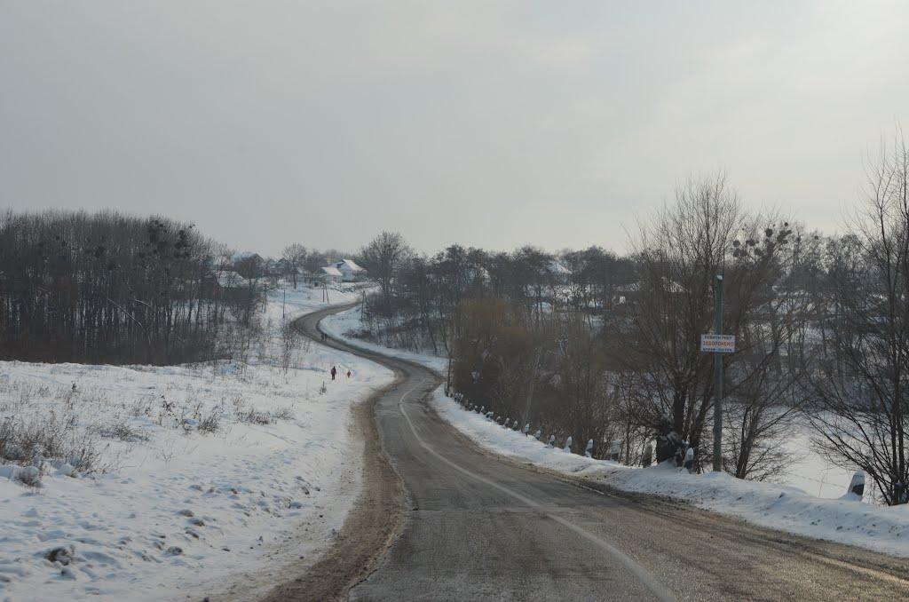 Дмитрушки з panoramio.com - Dmytrushky