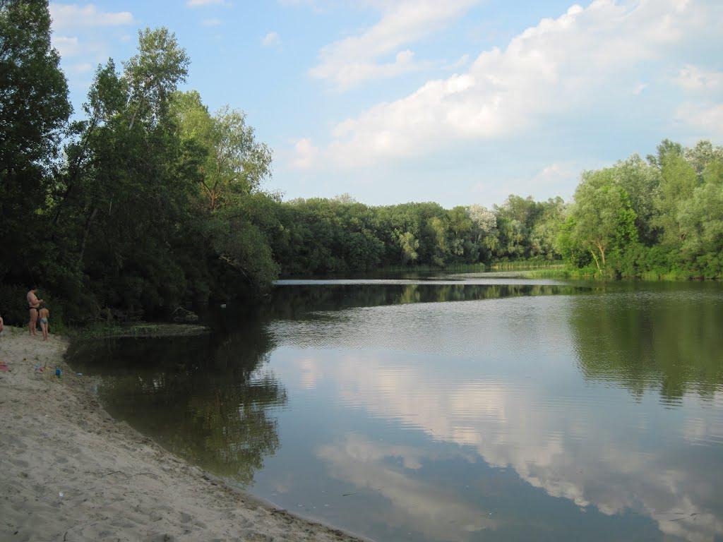 Кияшки з panoramio.com - Кияшки