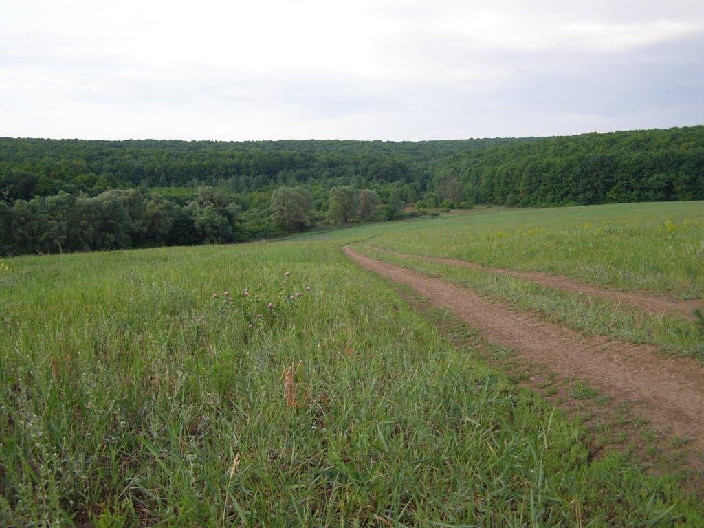 Люботин з panoramio.com (ч.2) - Люботин