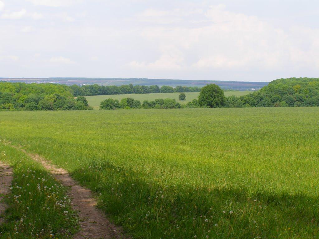 Куряжанка з panoramio.com - Куряжанка
