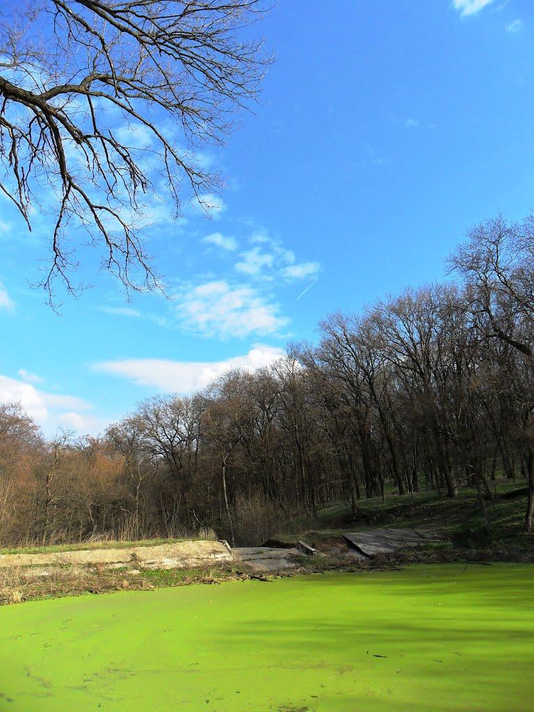 Карло-Марксове з panoramio.com - Карло-Марксове