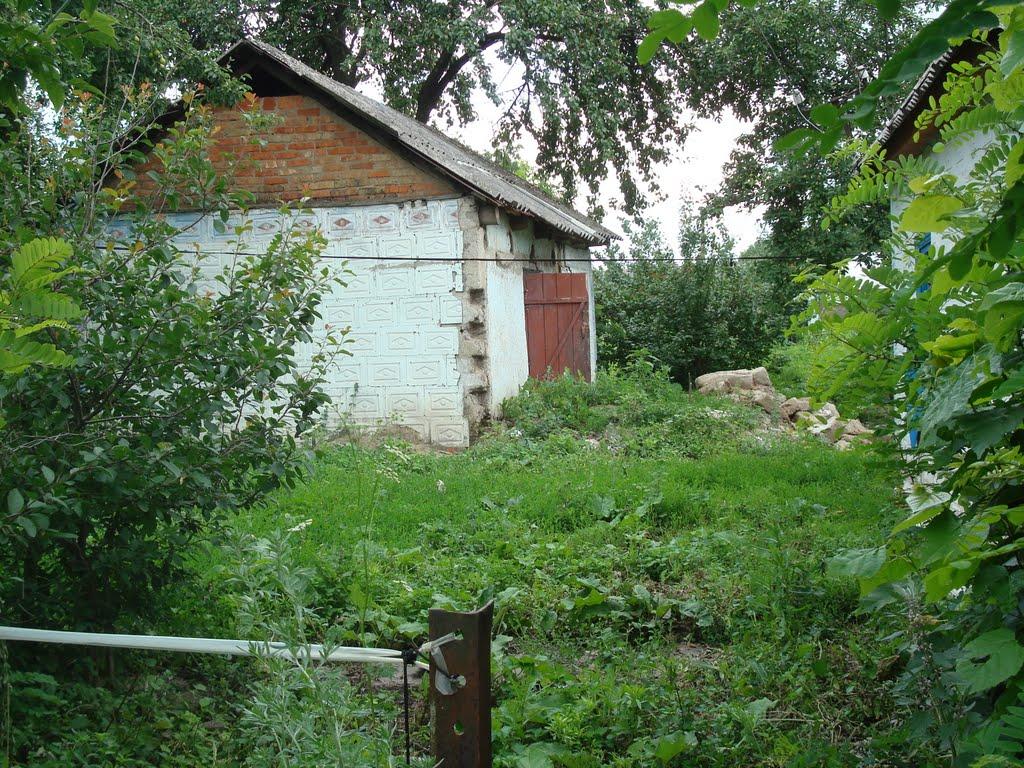 Побузьке з panoramio.com - Побугское