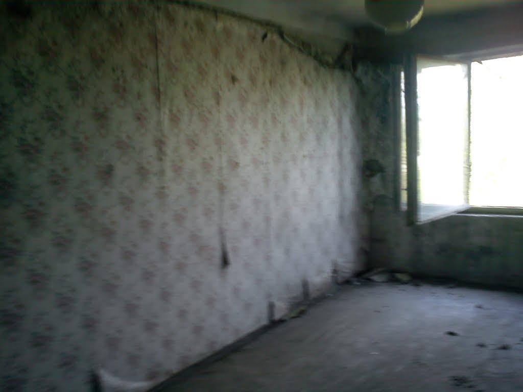 Новополтавка з panoramio.com - Новополтавка