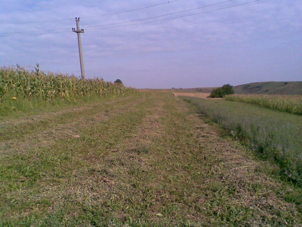 Могилівка з panoramio.com - Могилівка