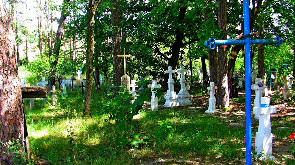 Кураш з panoramio.com - Кураш