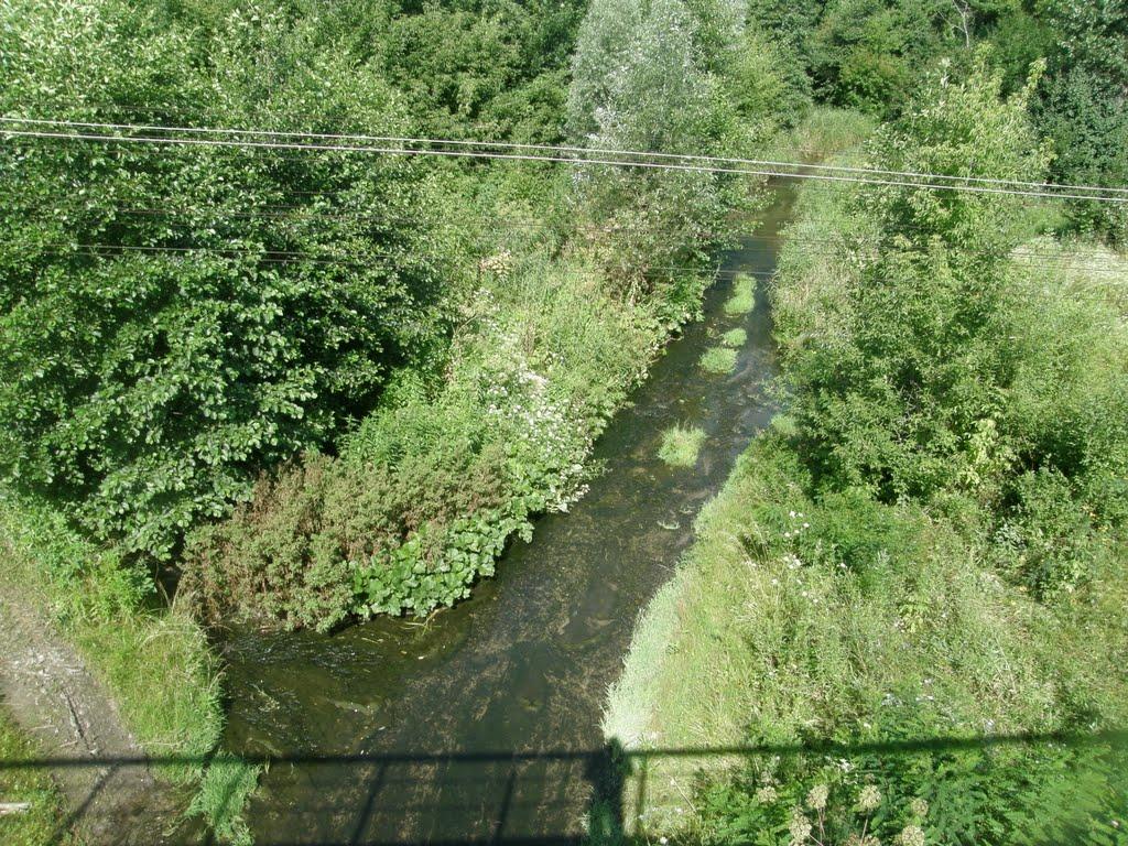 Красноріченське з panoramio.com - Красноріченське