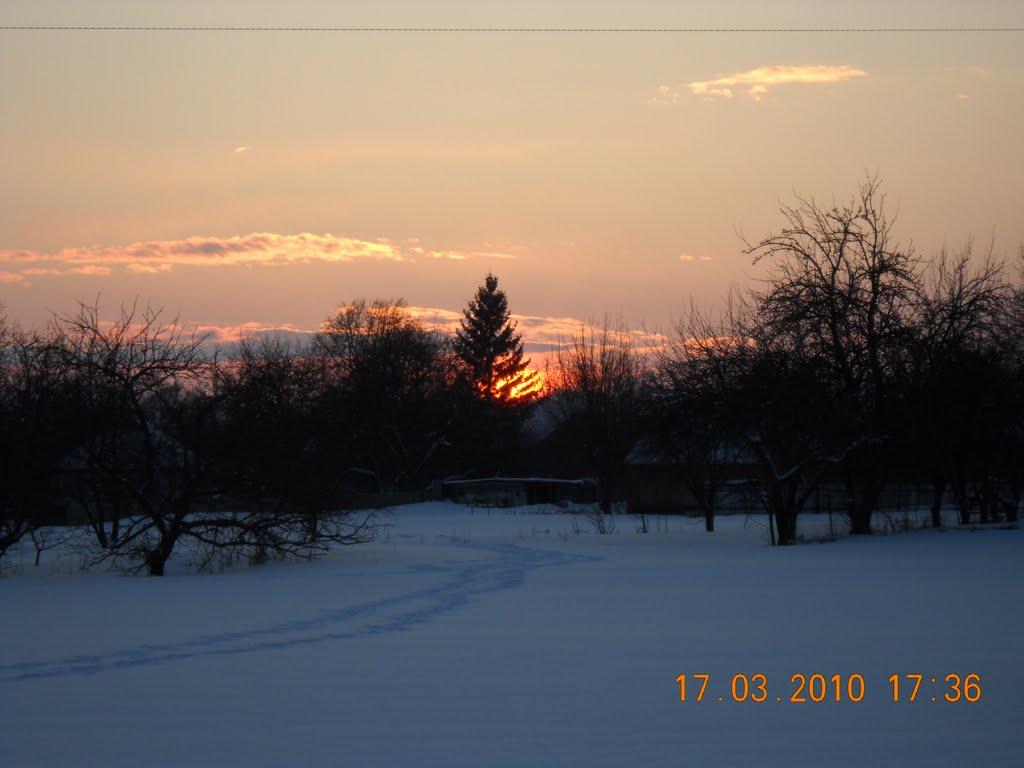 Мачухи з panoramio.com - Мачехи