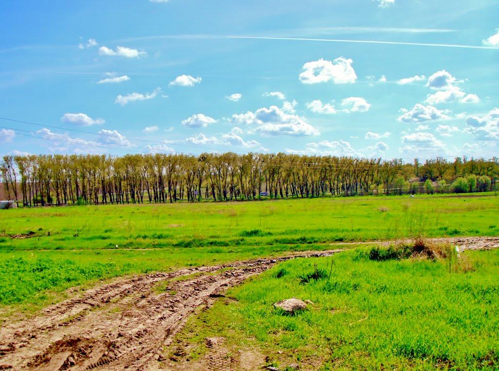 Гудзівка з panoramio.com - Gudzivka