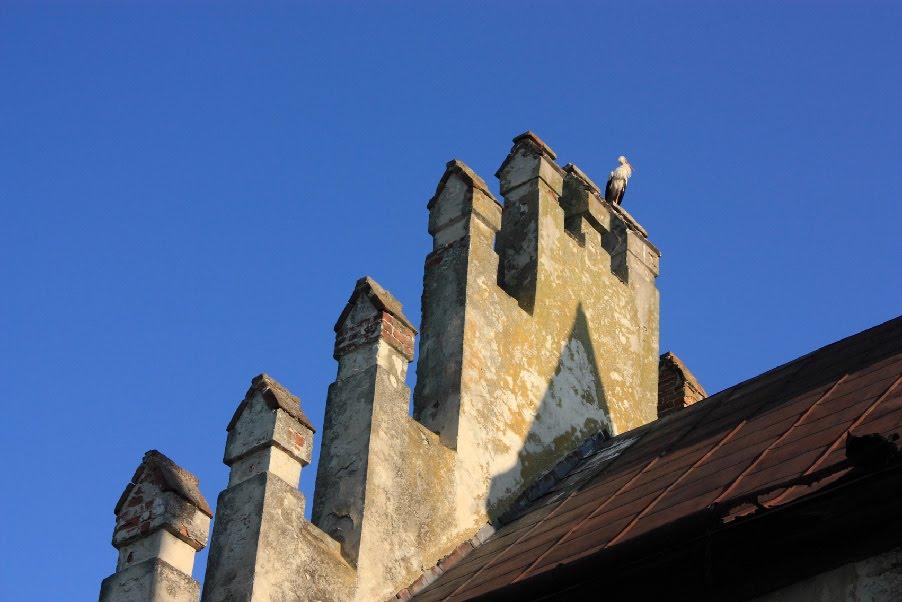 Вижняни з panoramio.com - Вижняни