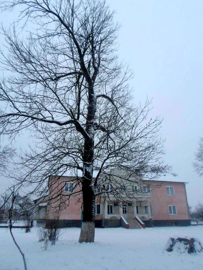 школа - Derzhiv