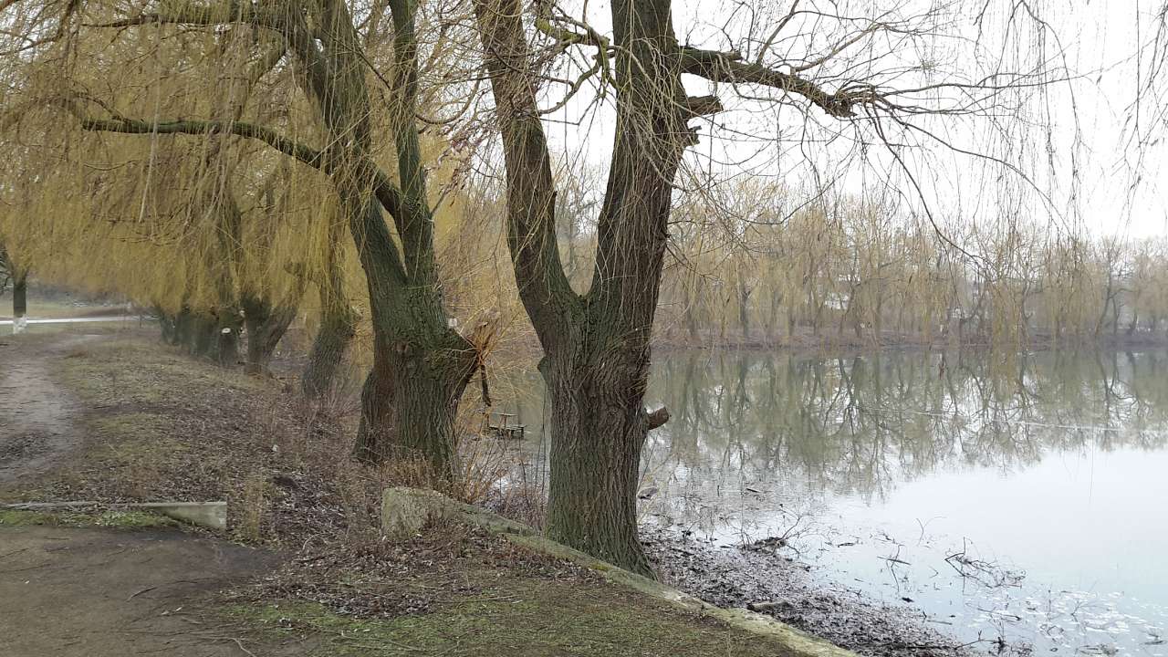 Парк села Деребчин - Деребчин