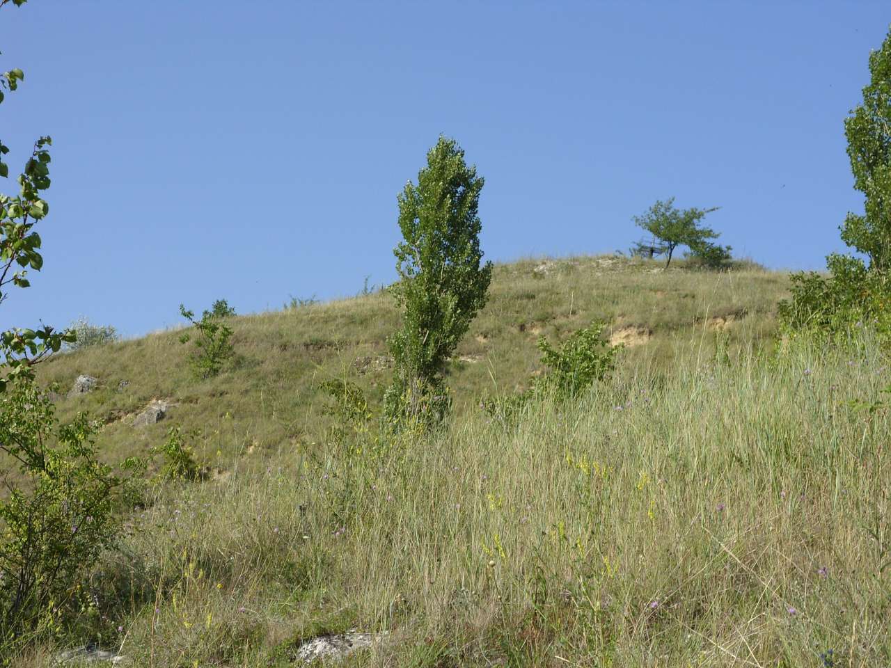 Краєвиди Михайлівки - Михайловка