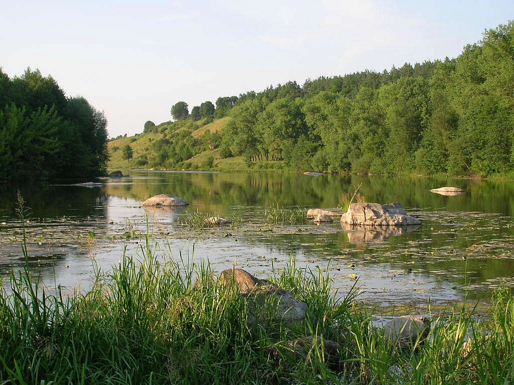 Наші Стрільчинці - Стрільчинці