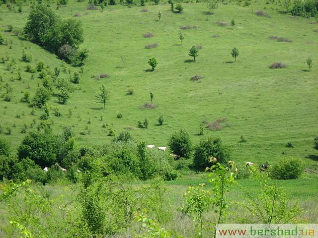 Село Пятківка - П'ятківка