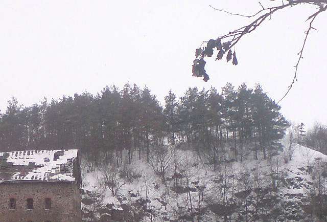 Наші Стрільчинці - Стрельчинцы