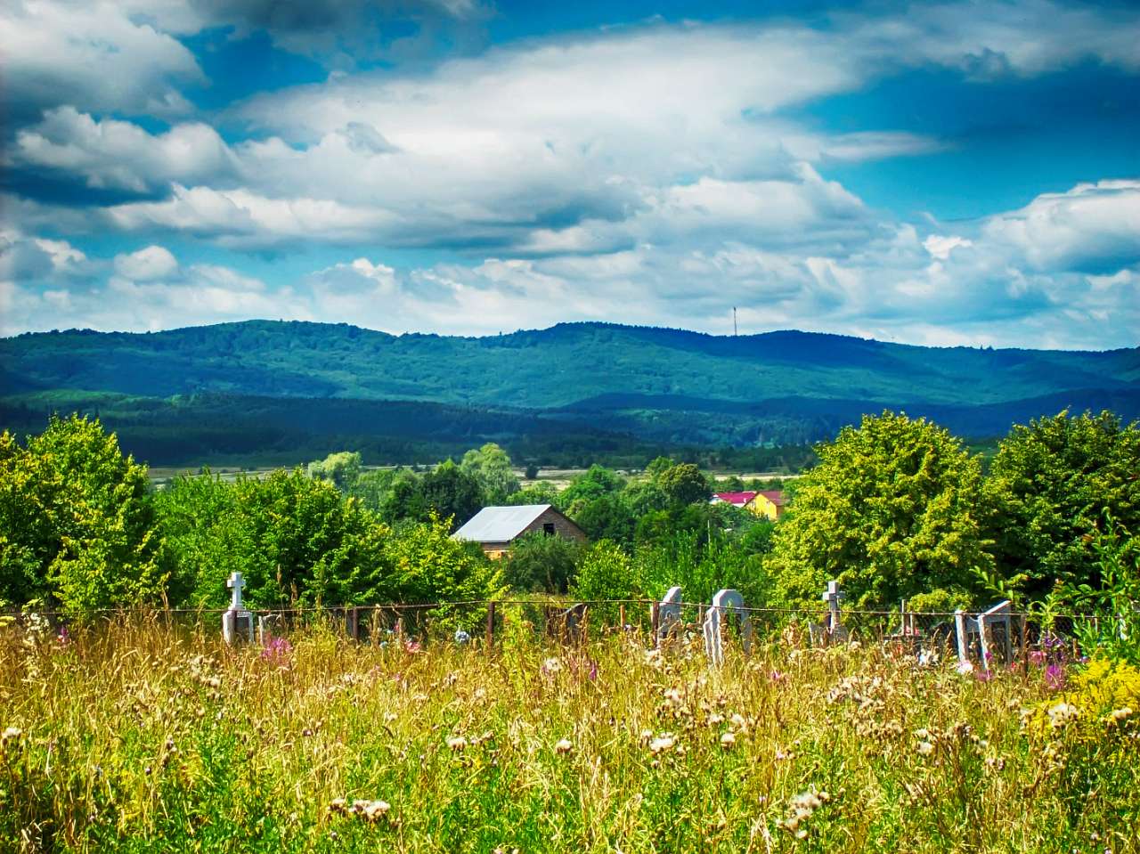Попелі - Попели