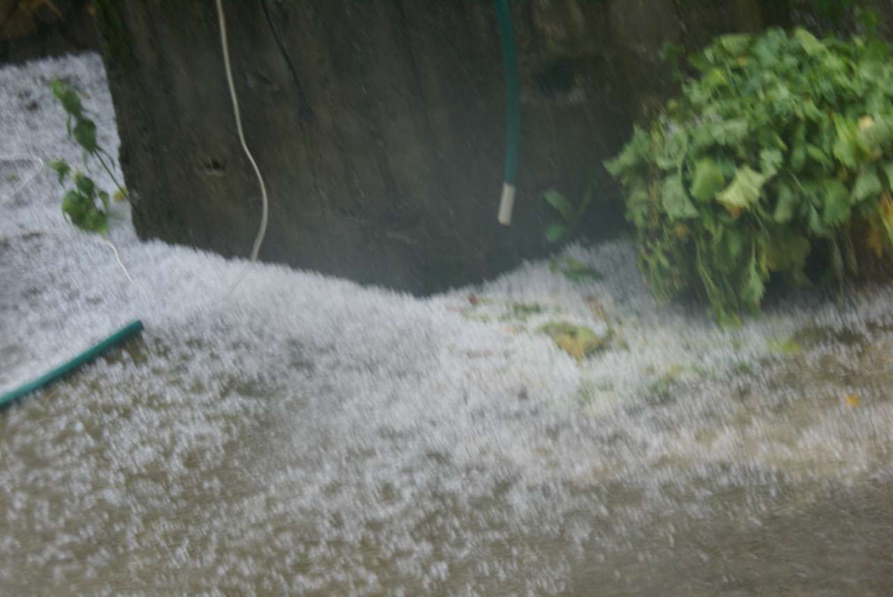 Виженка якою я ЇЇ бачу - Vyzhenka