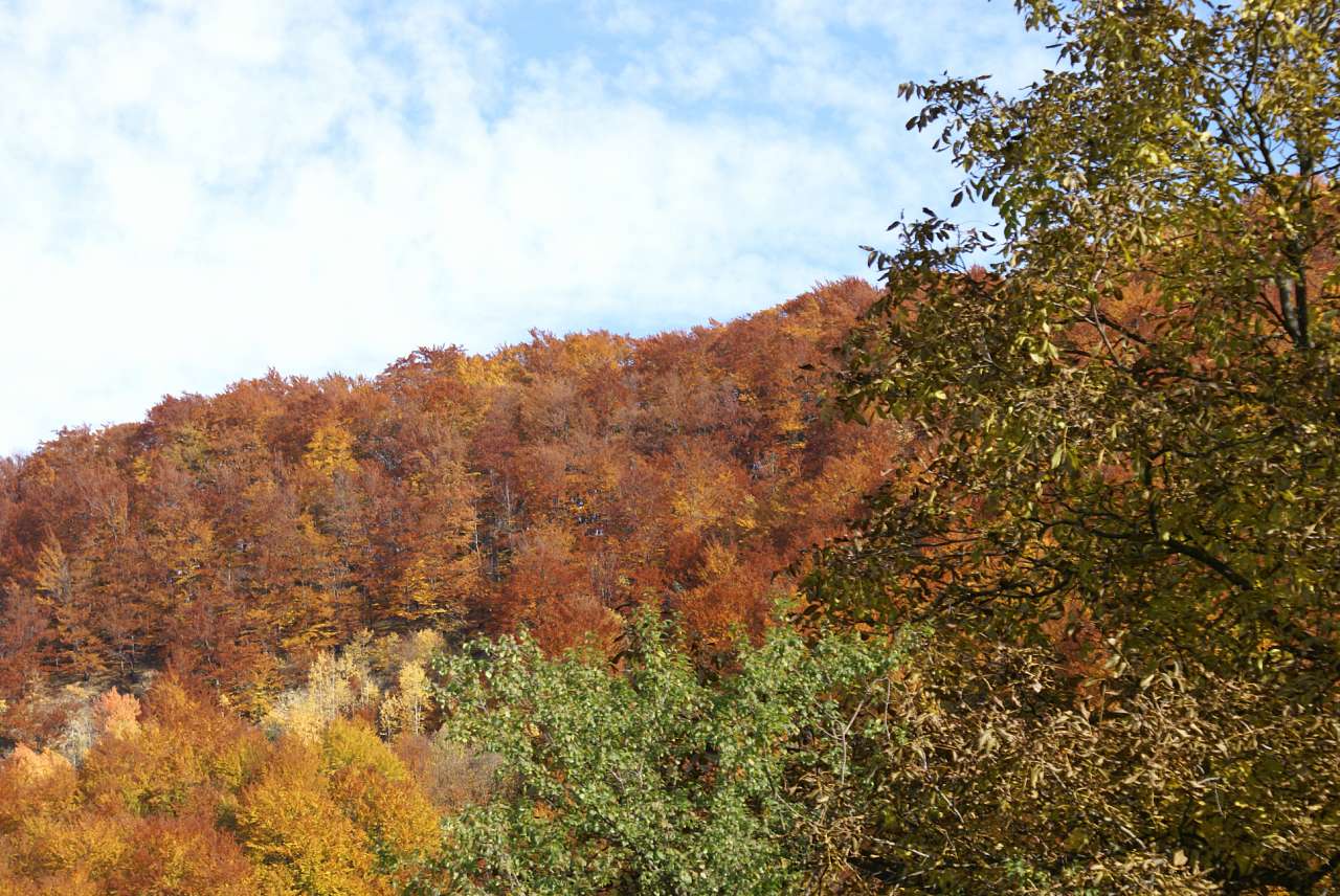 Виженка якою я ЇЇ бачу - Vyzhenka