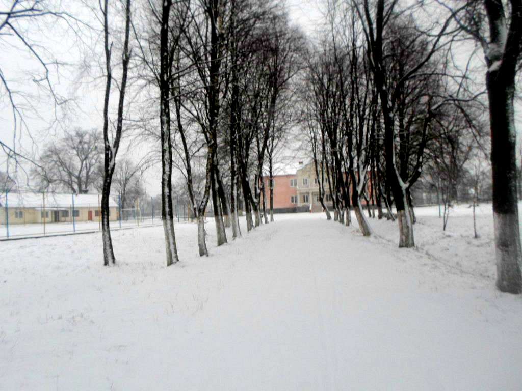 школа - Derzhiv