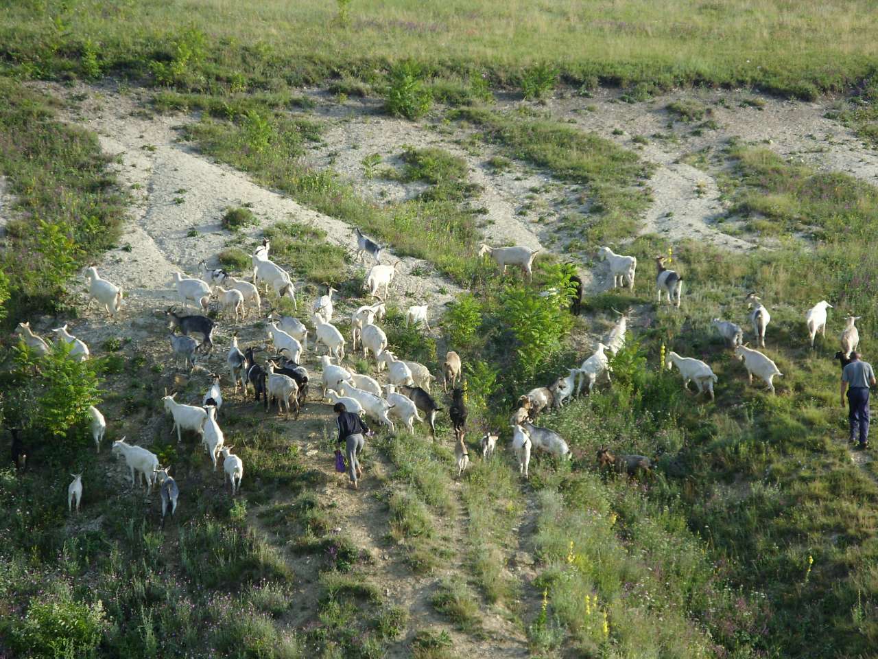 Краєвиди Михайлівки - Михайловка
