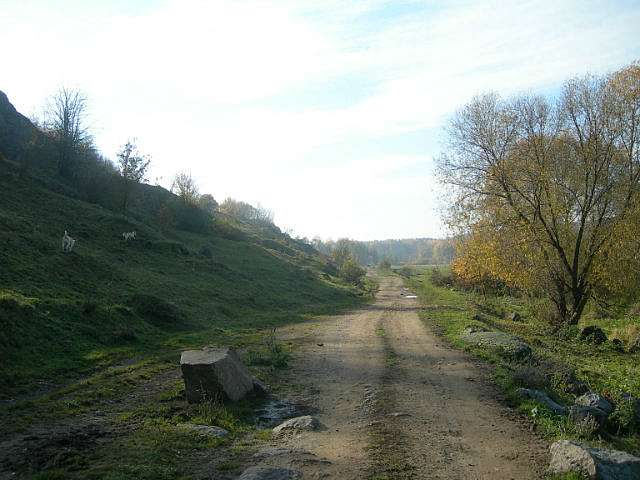 Наші Стрільчинці - Стрільчинці