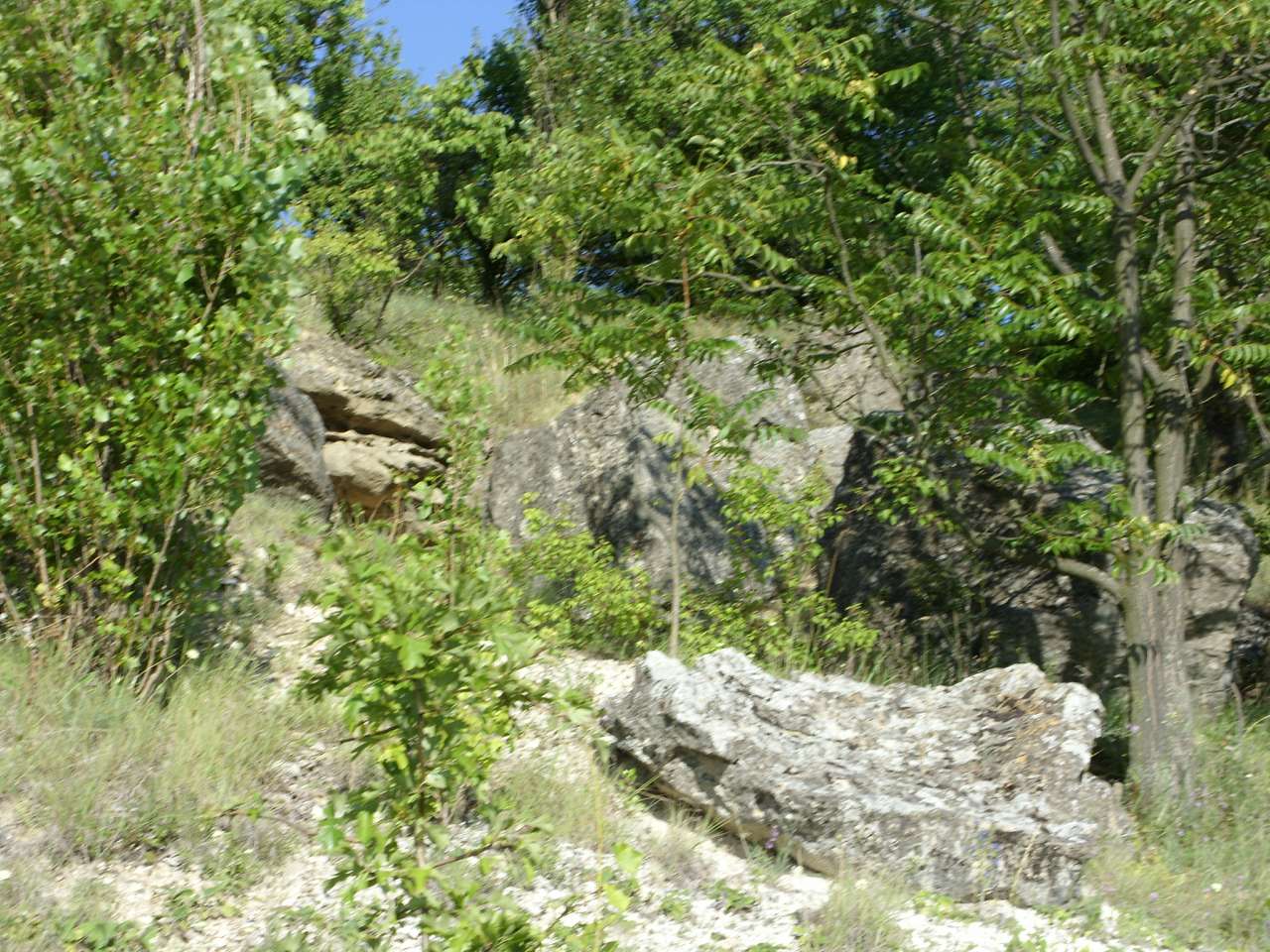 Краєвиди Михайлівки - Михайловка