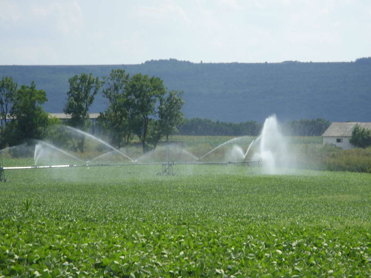 Краєвиди Михайлівки - Михайлівка