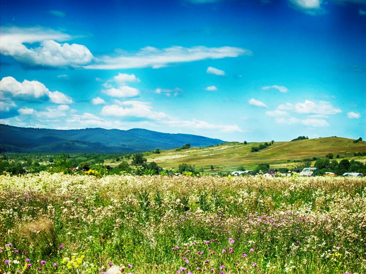 Попелі - Попелі