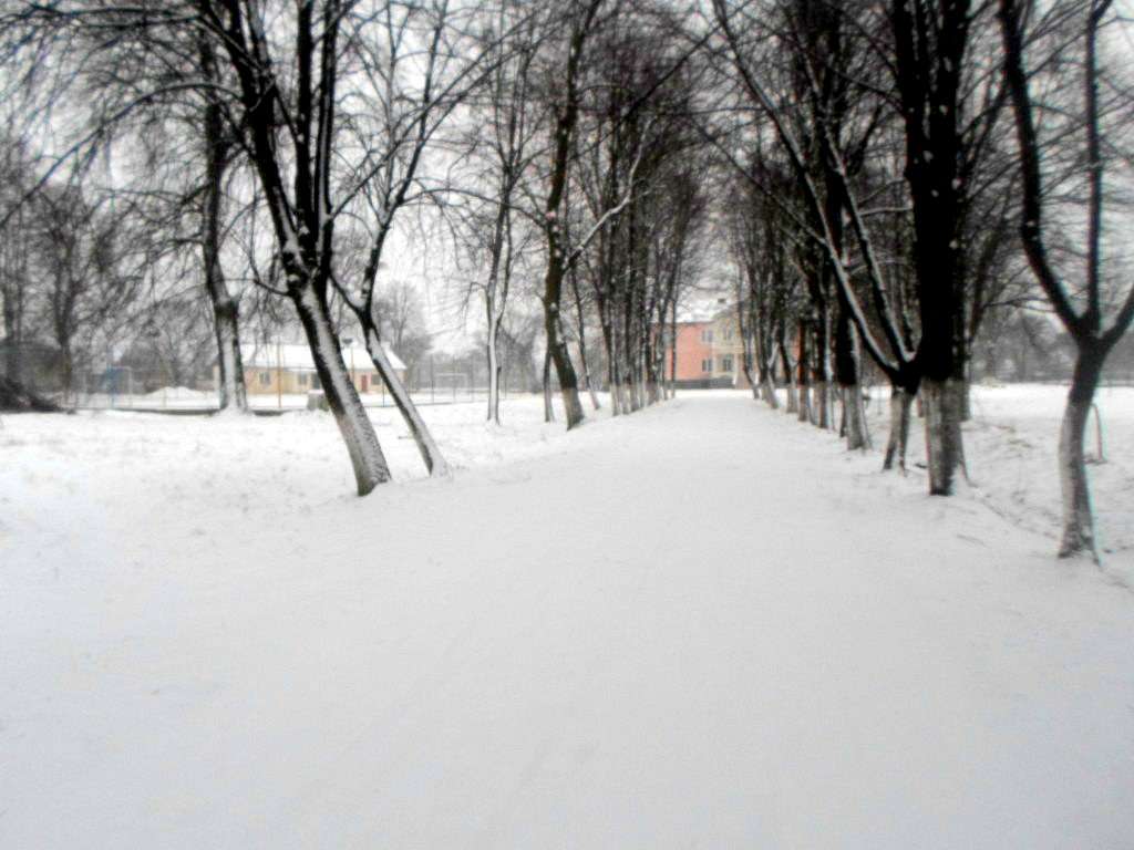 школа - Derzhiv