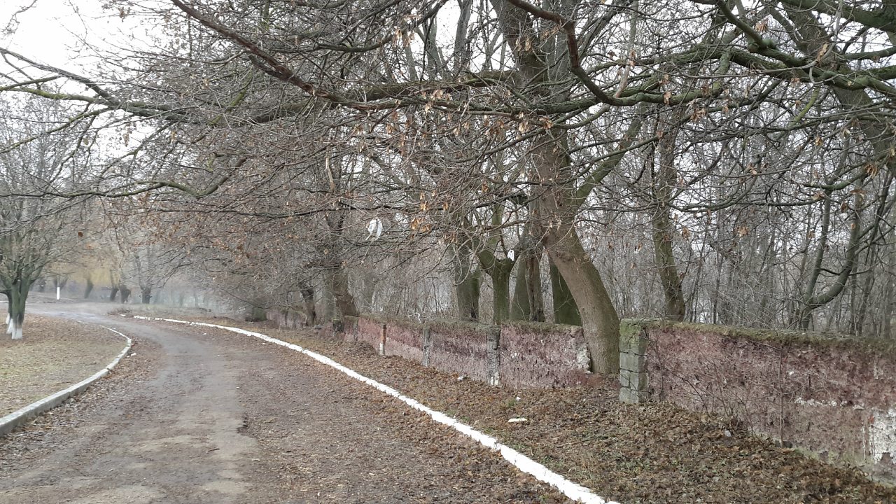 Парк села Деребчин - Деребчин