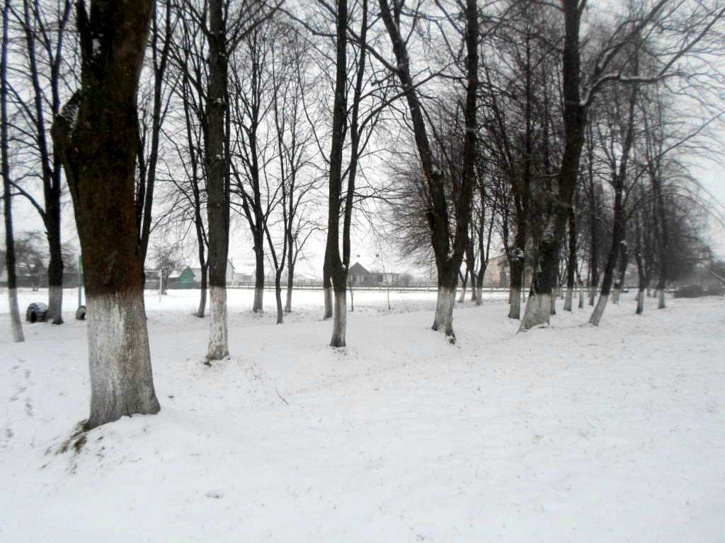 школа - Derzhiv