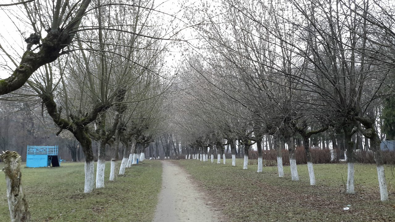 Парк села Деребчин - Деребчин