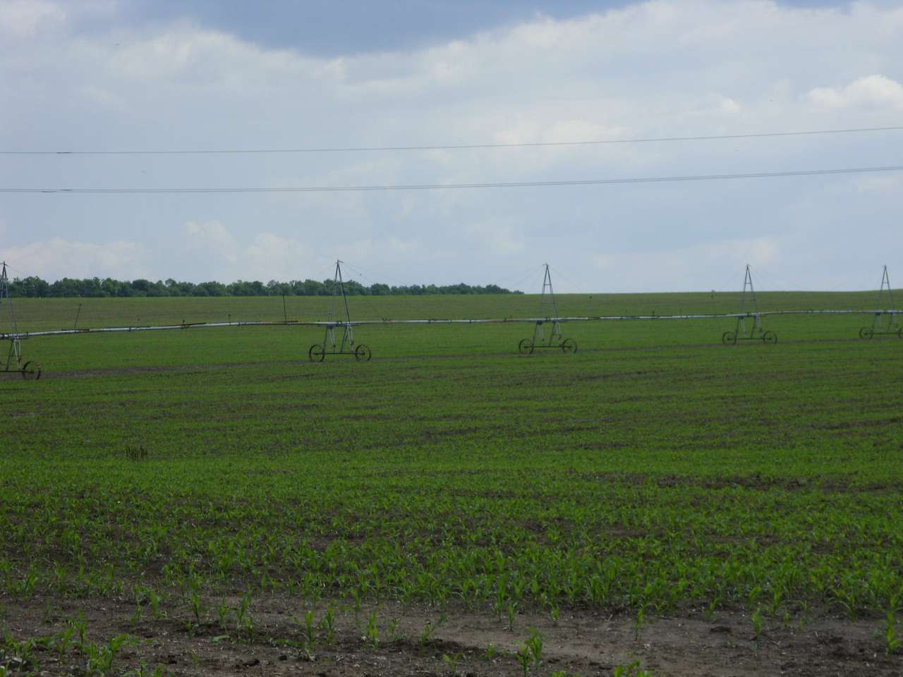 Краєвиди Михайлівки - Михайлівка
