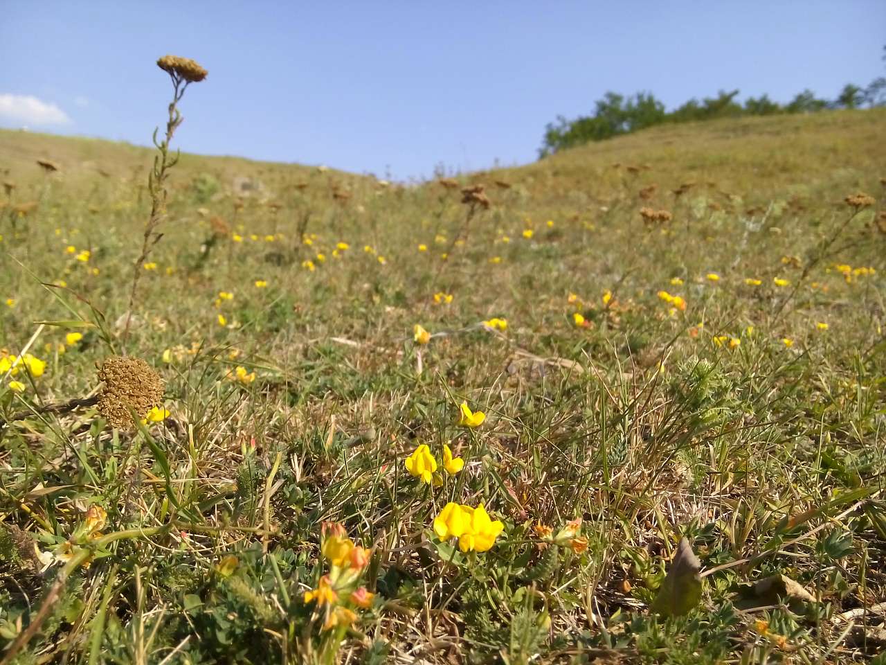 Пейзаж - Секретарка